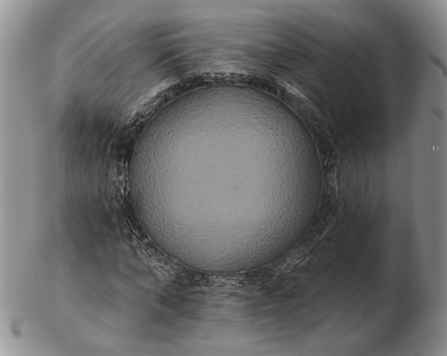 X0000102810870200809021156