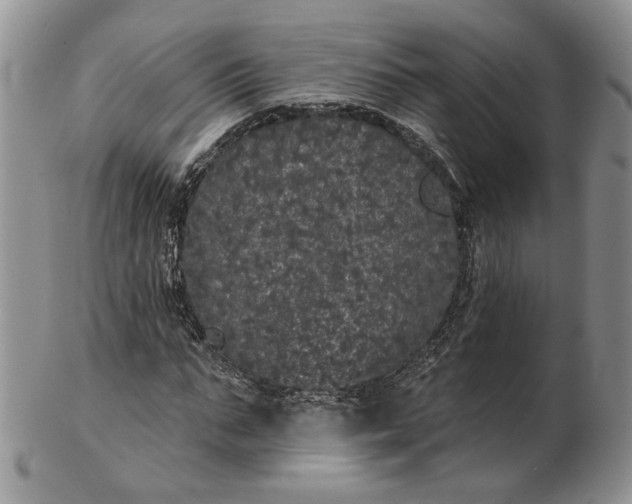 X0000102810871200809021156