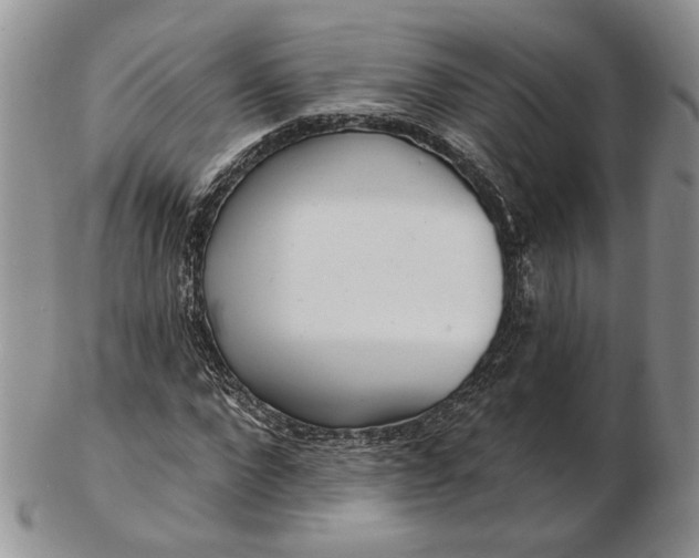 X0000102810872200809021156