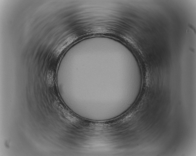 X0000102810873200809021156