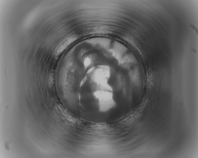 X0000102810874200809021156