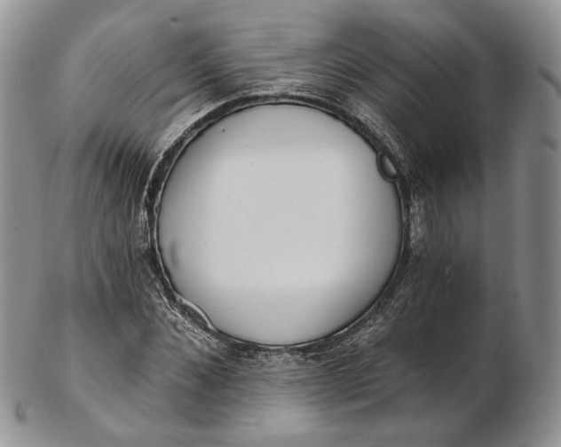 X0000102810876200809021156