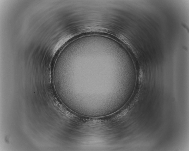 X0000102810877200809021156