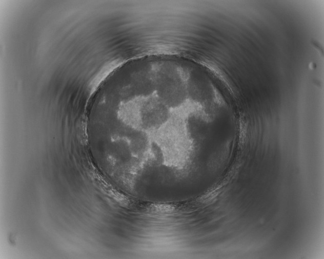 X0000102810878200809021156