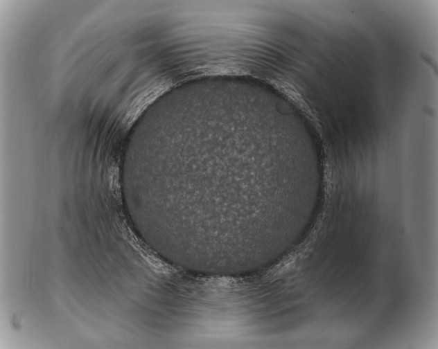 X0000102810881200809021156