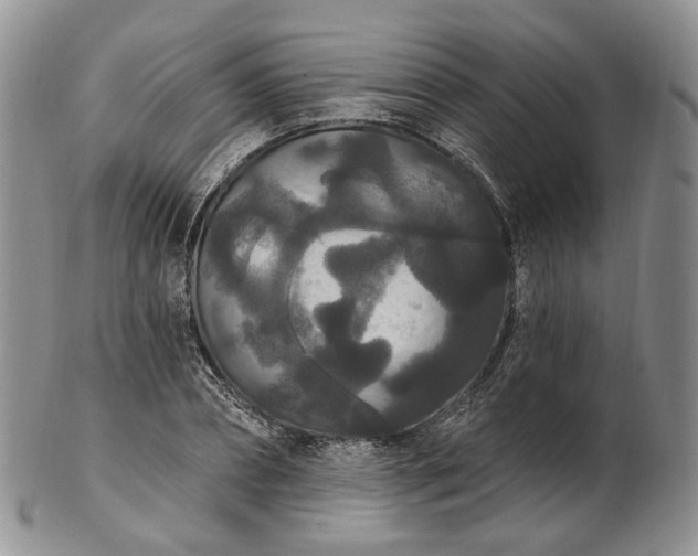 X0000102810882200809021156