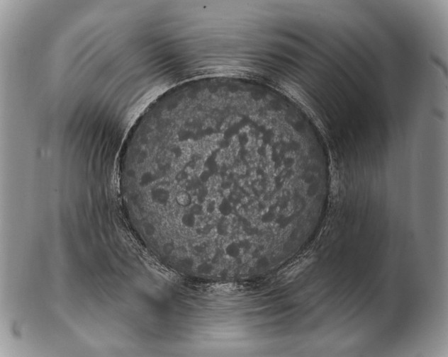 X0000102810883200809021156