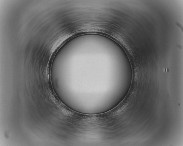 X0000102810885200809021156