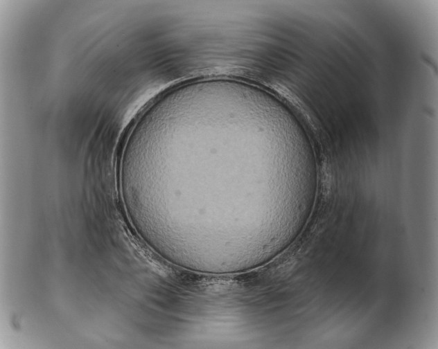 X0000102810886200809021156