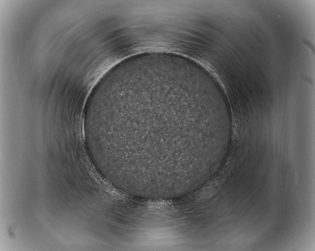 X0000102810887200809021156