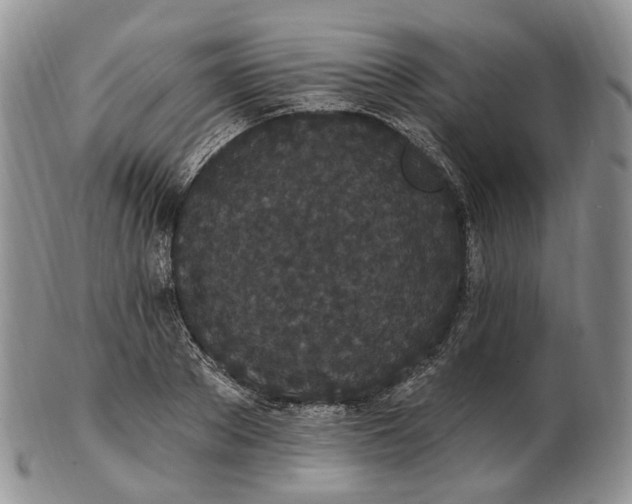 X0000102810889200809021156