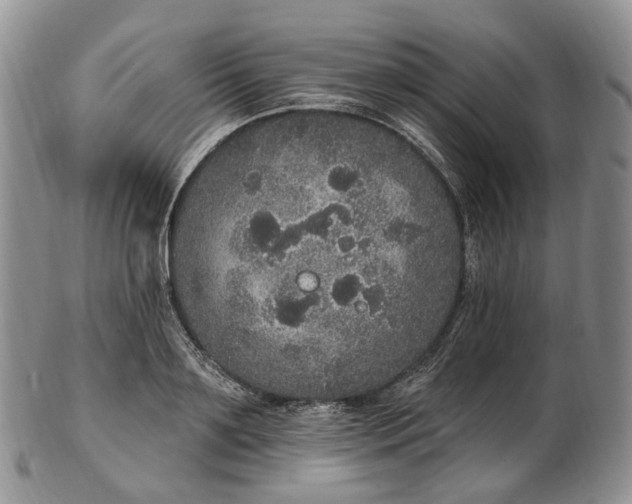 X0000102810891200809021156