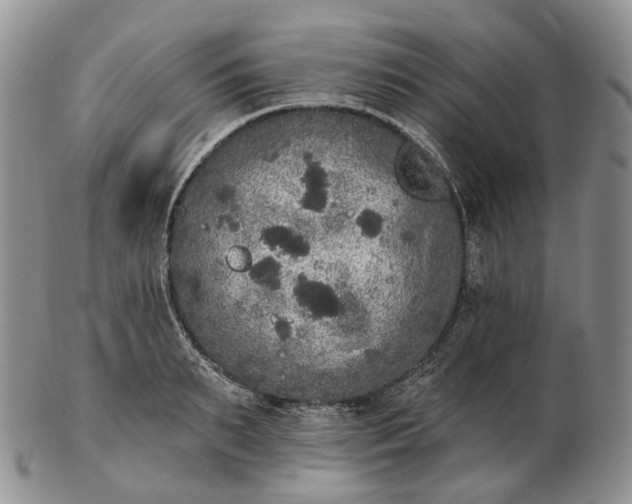 X0000102810895200809021156