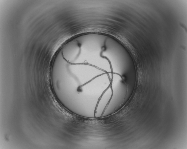 X0000102810896200809021156