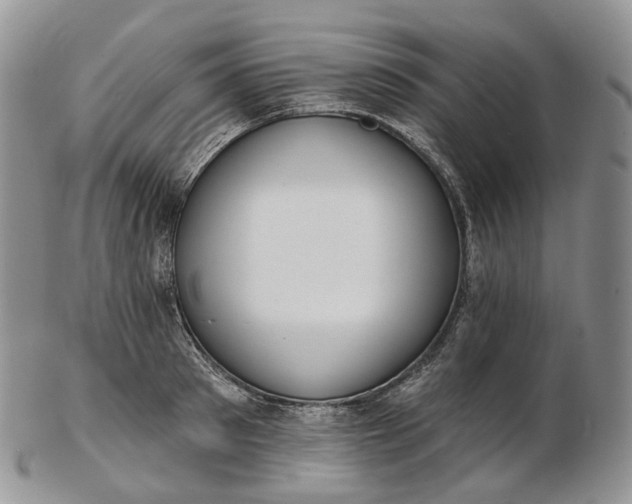 X0000102810897200809021156