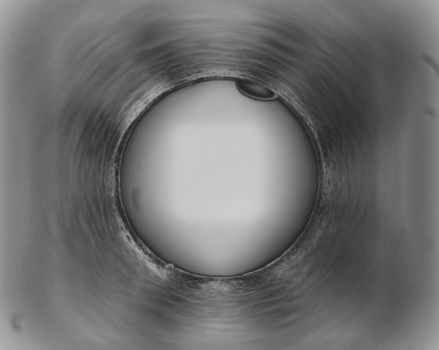 X0000102810898200809021156