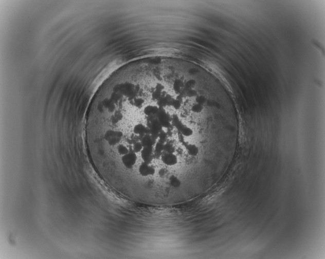 X0000102810899200809021156