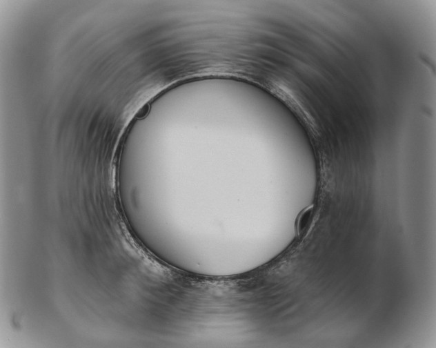 X0000102810900200809021156