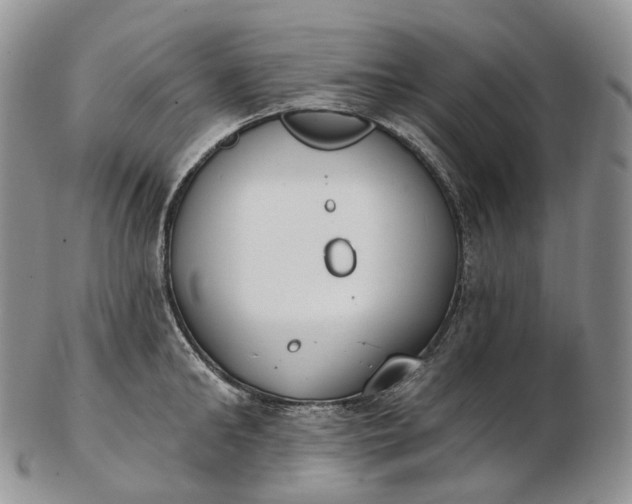 X0000102810902200809021156