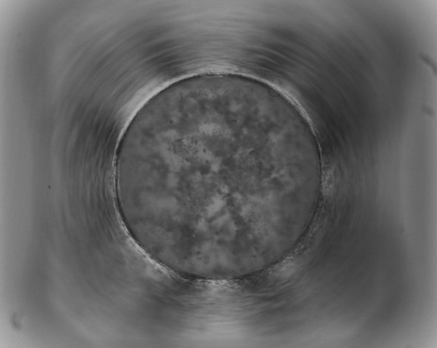 X0000102810903200809021156