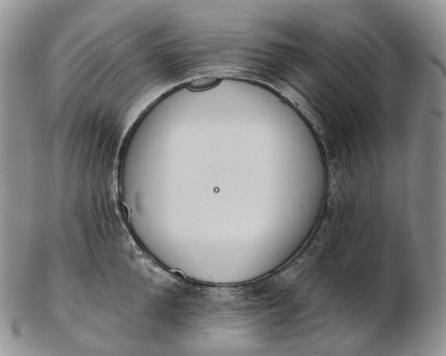 X0000102810904200809021156