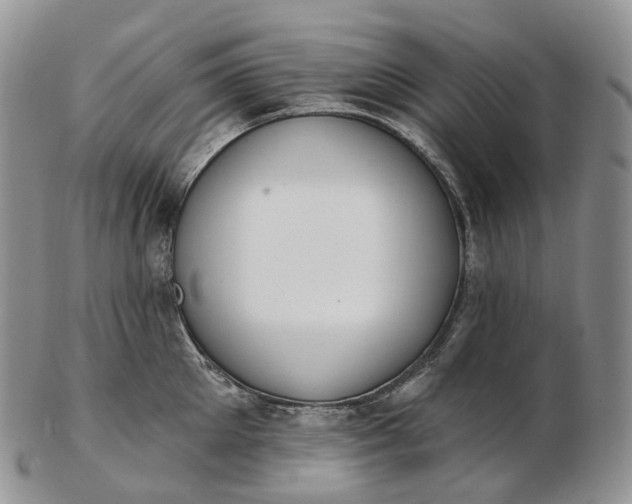 X0000102810905200809021156