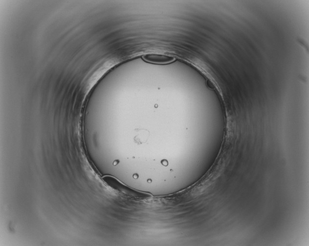 X0000102810906200809021156