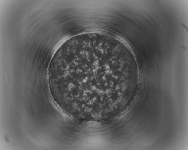 X0000102810907200809021156