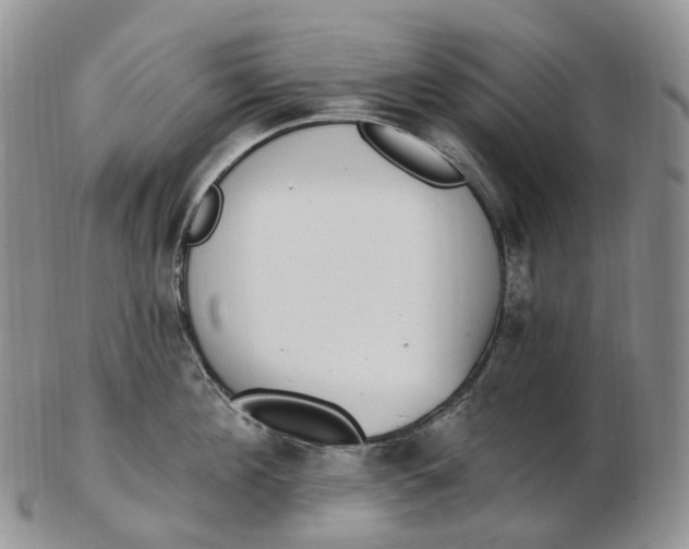 X0000102810908200809021156