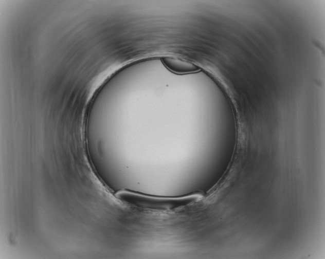 X0000102810910200809021156