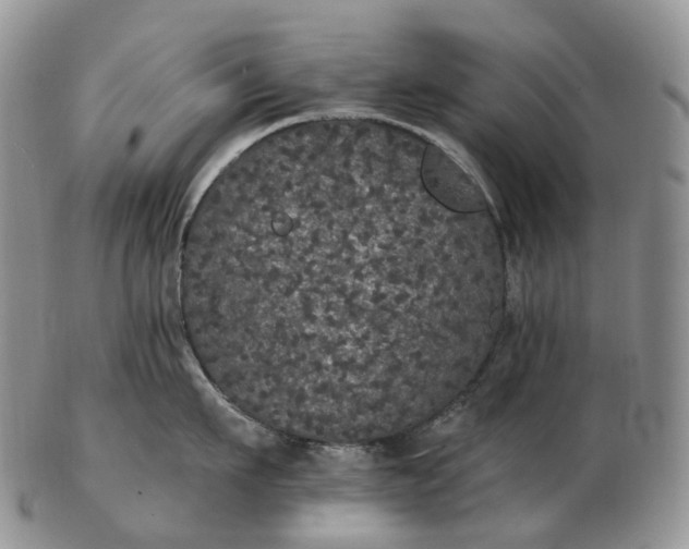 X0000102810911200809021156