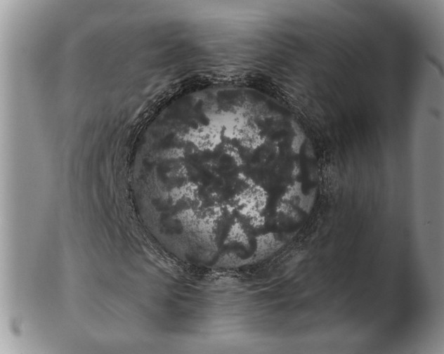 X0000102810913200809021155