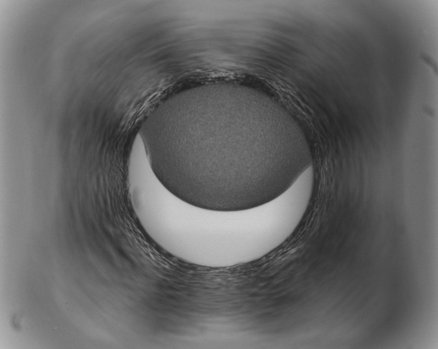 X0000102810916200809021155