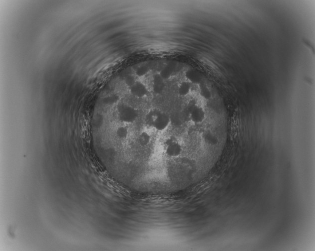 X0000102810917200809021155