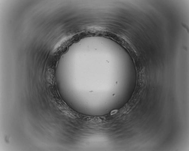 X0000102810919200809021155