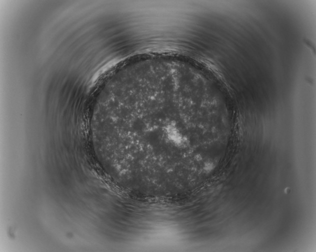 X0000102810920200809021155