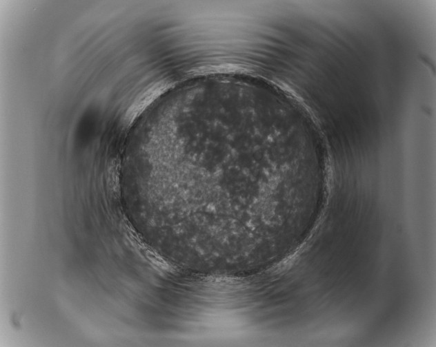 X0000102810921200809021155