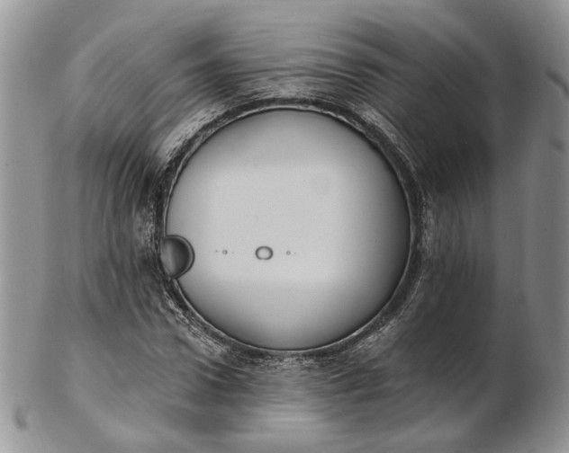 X0000102810922200809021155