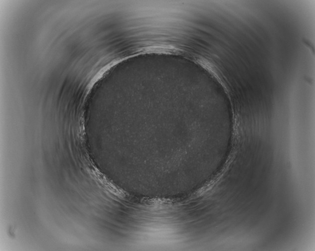 X0000102810923200809021155