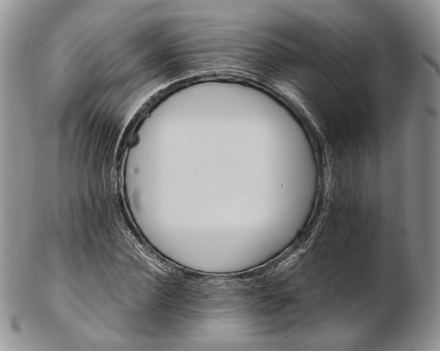 X0000102810924200809021155