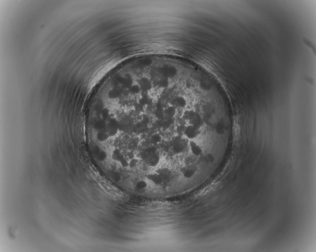 X0000102810925200809021155