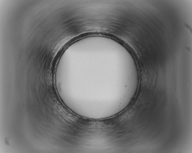 X0000102810927200809021155