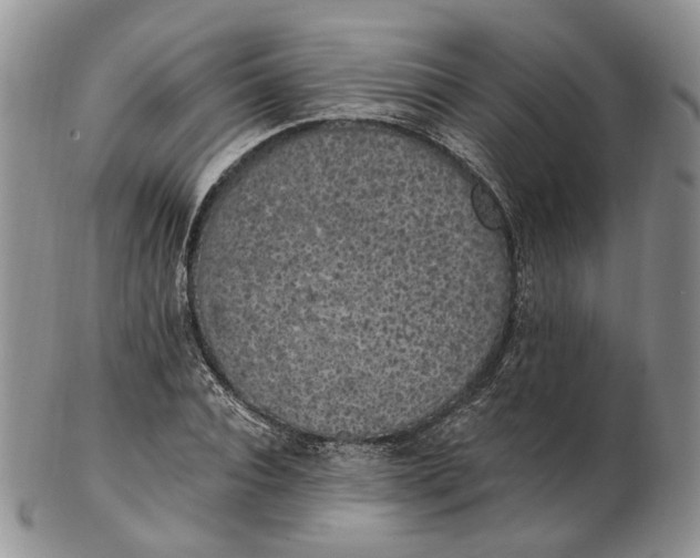 X0000102810928200809021155