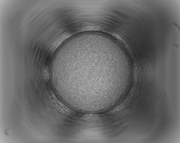 X0000102810929200809021155