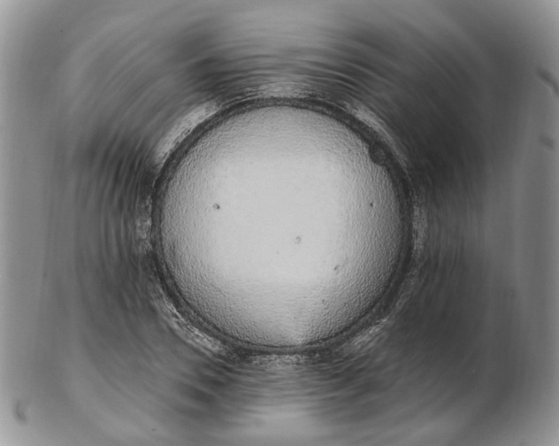 X0000102810930200809021155