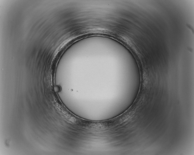 X0000102810931200809021156