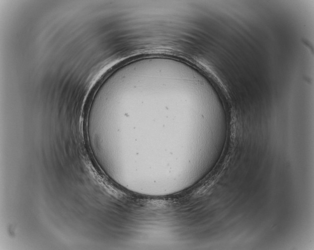 X0000102810932200809021156