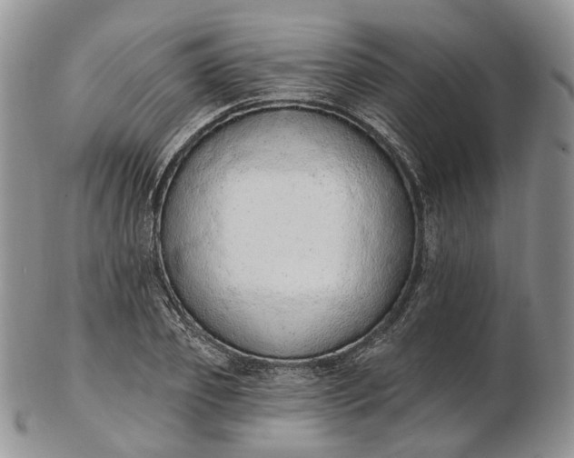 X0000102810933200809021156