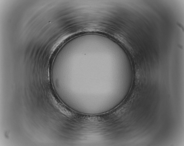 X0000102810934200809021156