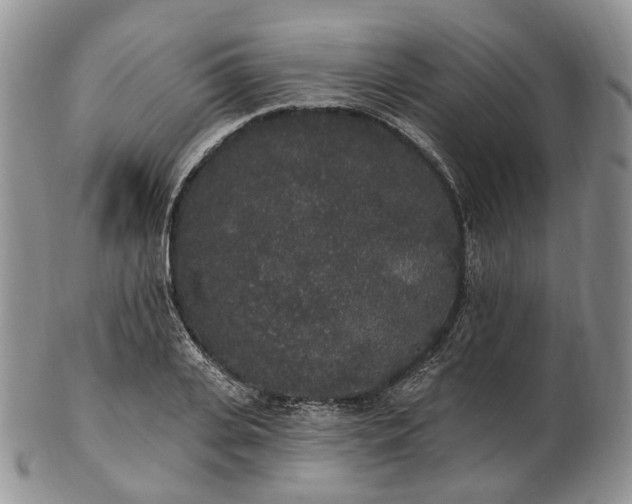 X0000102810935200809021156